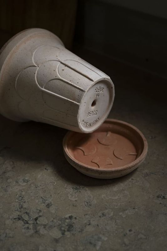 Fleur. Stretching towards the light ø 18  Rosa - Bergs potter
