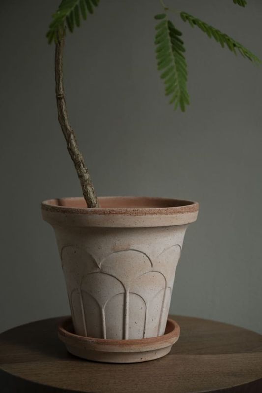 Fleur. Stretching towards the light Ø 25 - Rosa - Bergs potter